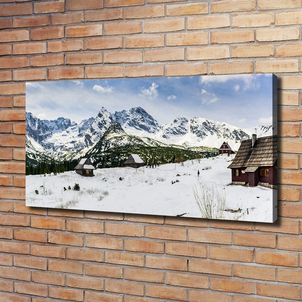 Foto obraz canvas Hale Tatry