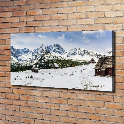 Foto obraz canvas Hale Tatry