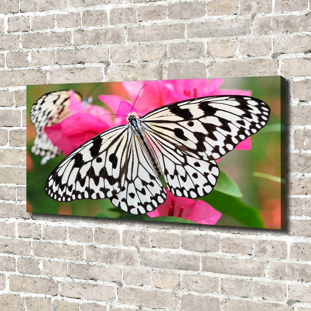 Foto obraz na płótnie Motyl na kwiatku