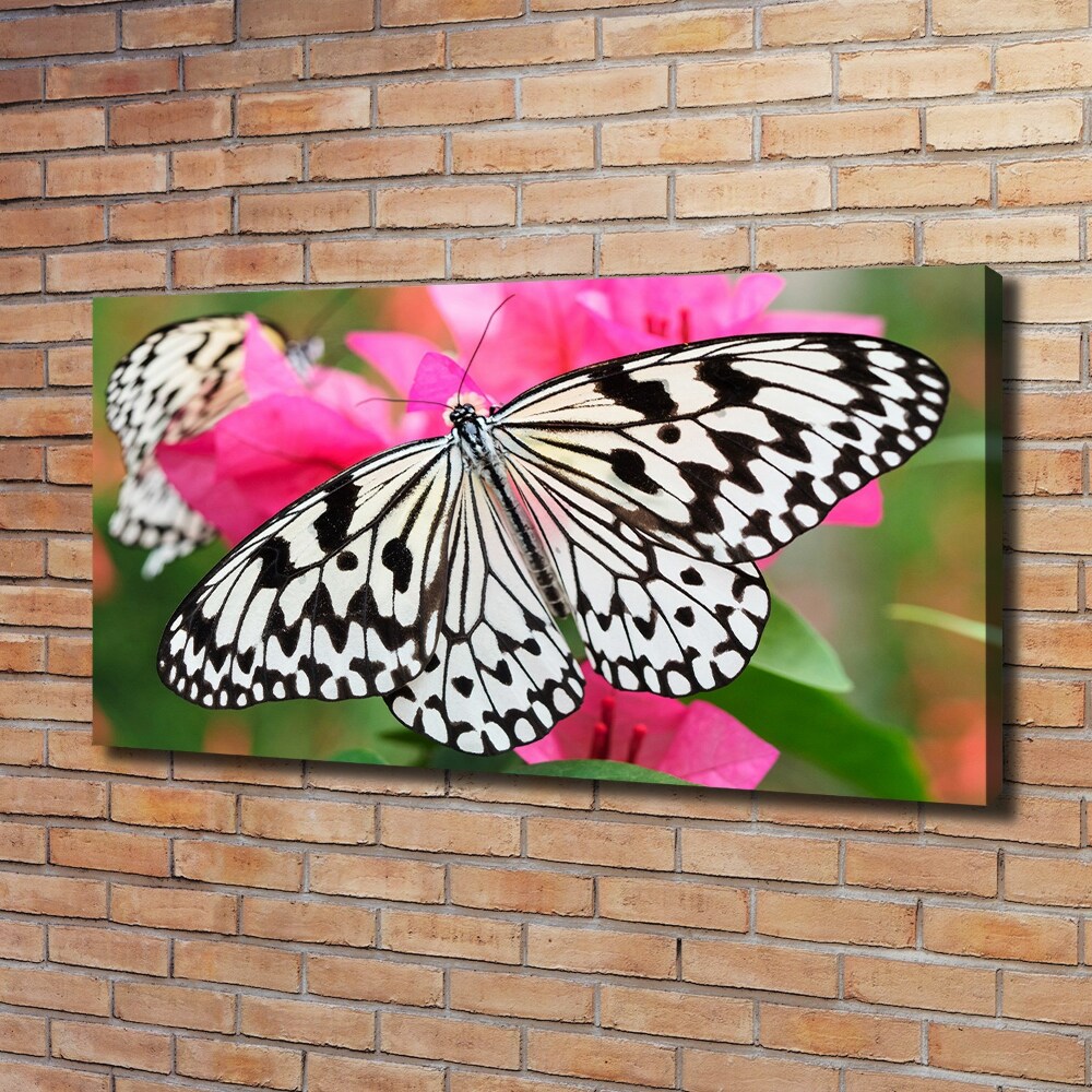 Foto obraz na płótnie Motyl na kwiatku