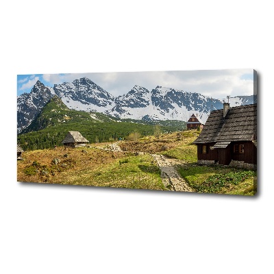 Foto obraz canvas Hale Tatry