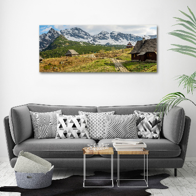 Foto obraz canvas Hale Tatry