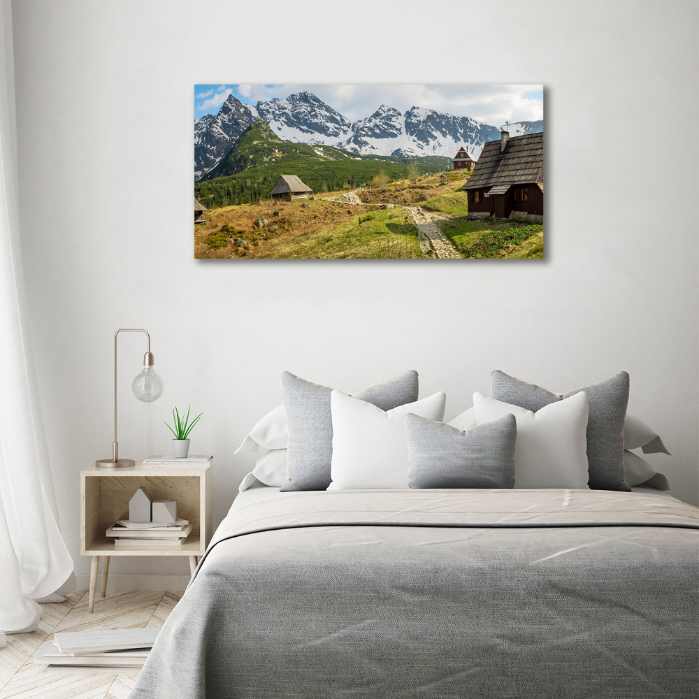 Foto obraz canvas Hale Tatry