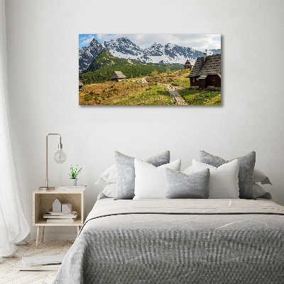 Foto obraz canvas Hale Tatry