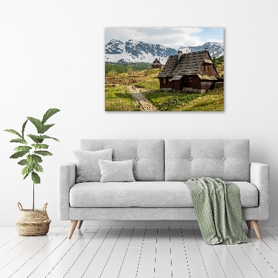Foto obraz canvas Hale Tatry
