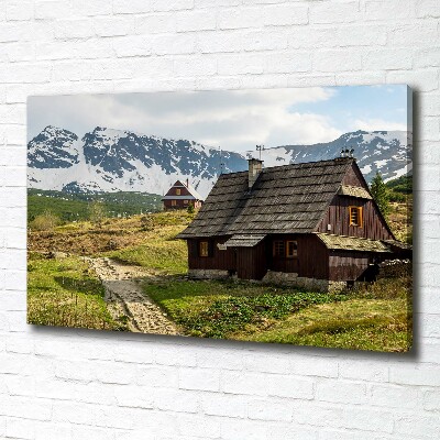 Foto obraz canvas Hale Tatry