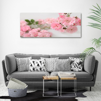 Foto obraz canvas Dzikie róże