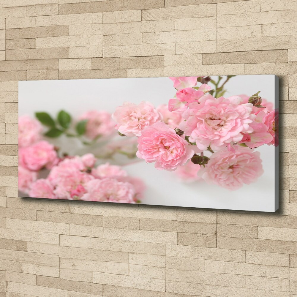 Foto obraz canvas Dzikie róże