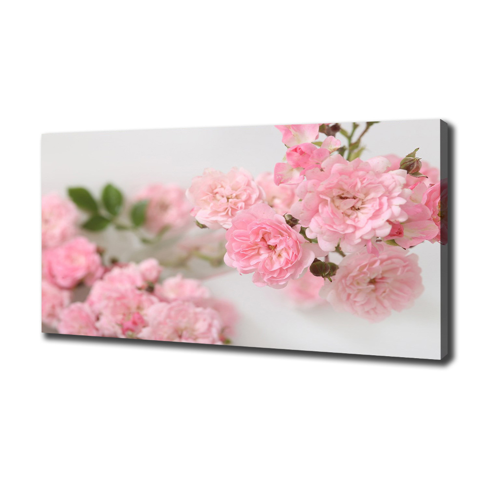 Foto obraz canvas Dzikie róże