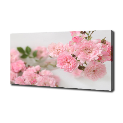 Foto obraz canvas Dzikie róże
