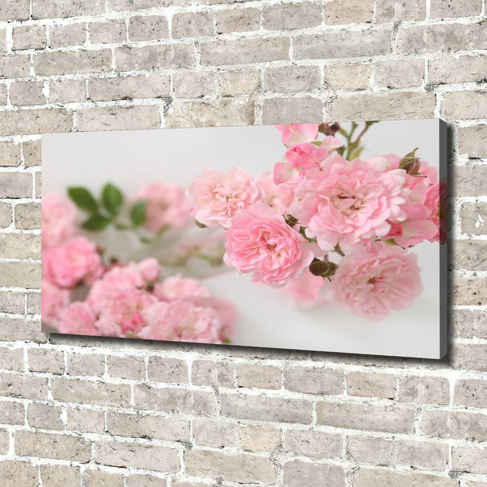 Foto obraz canvas Dzikie róże