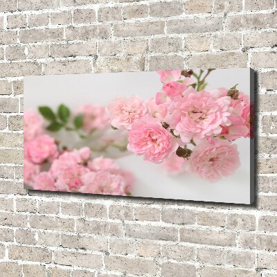 Foto obraz canvas Dzikie róże