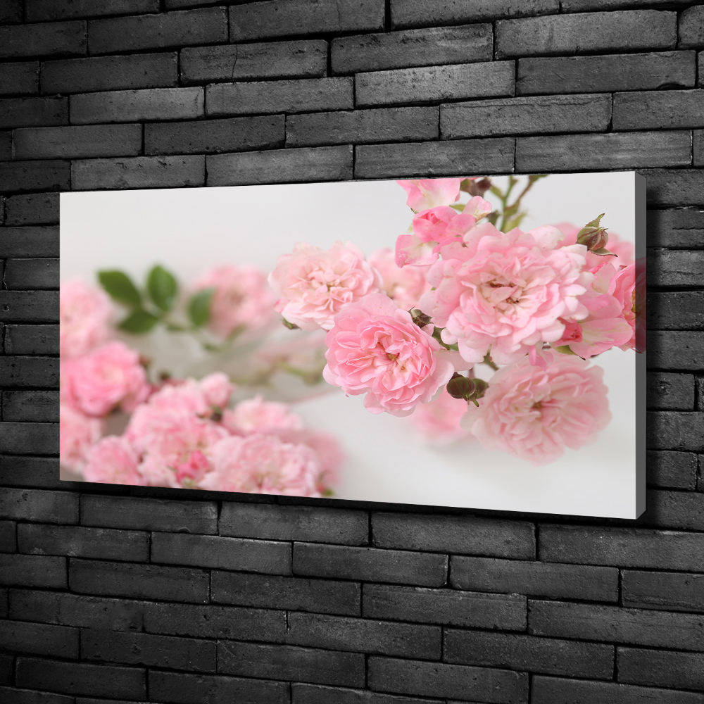 Foto obraz canvas Dzikie róże