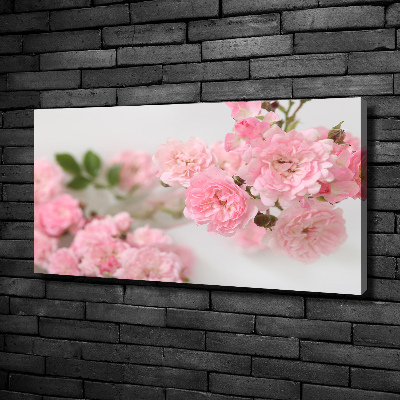 Foto obraz canvas Dzikie róże