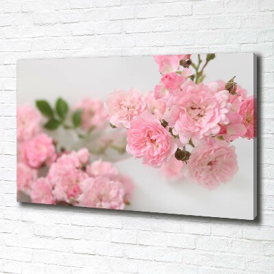 Foto obraz canvas Dzikie róże