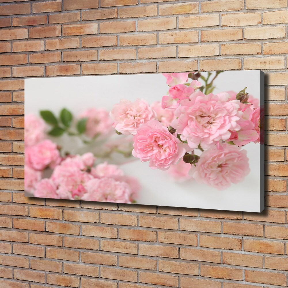 Foto obraz canvas Dzikie róże