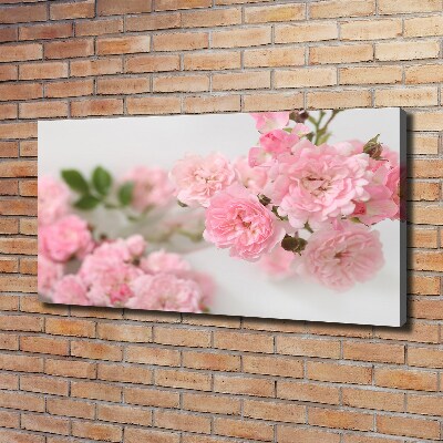 Foto obraz canvas Dzikie róże
