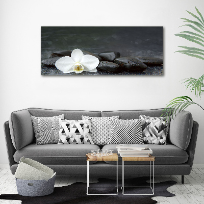 Foto obraz canvas Orchidea