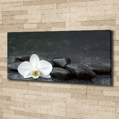 Foto obraz canvas Orchidea