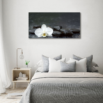 Foto obraz canvas Orchidea