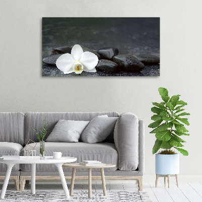 Foto obraz canvas Orchidea