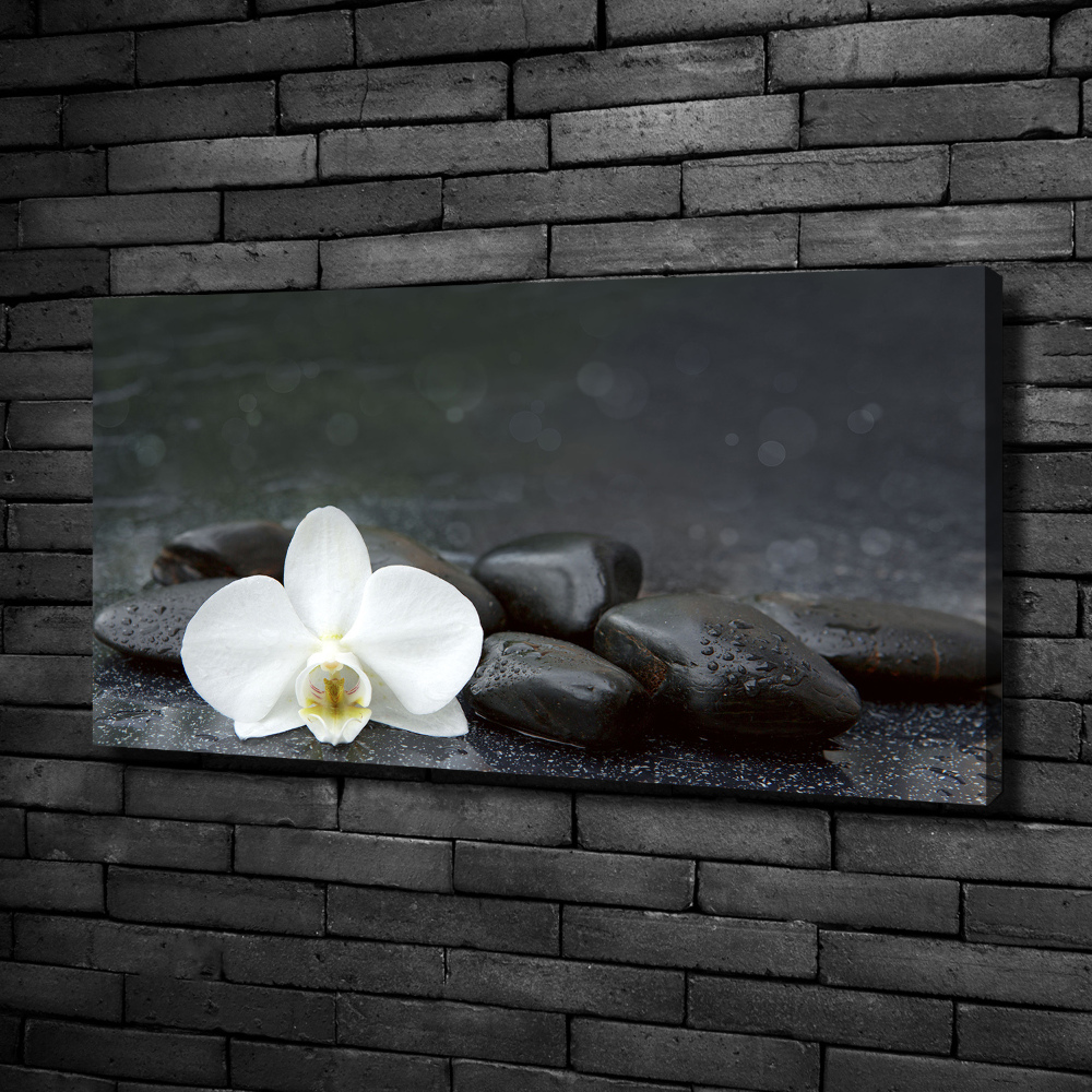 Foto obraz canvas Orchidea