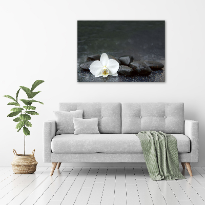 Foto obraz canvas Orchidea