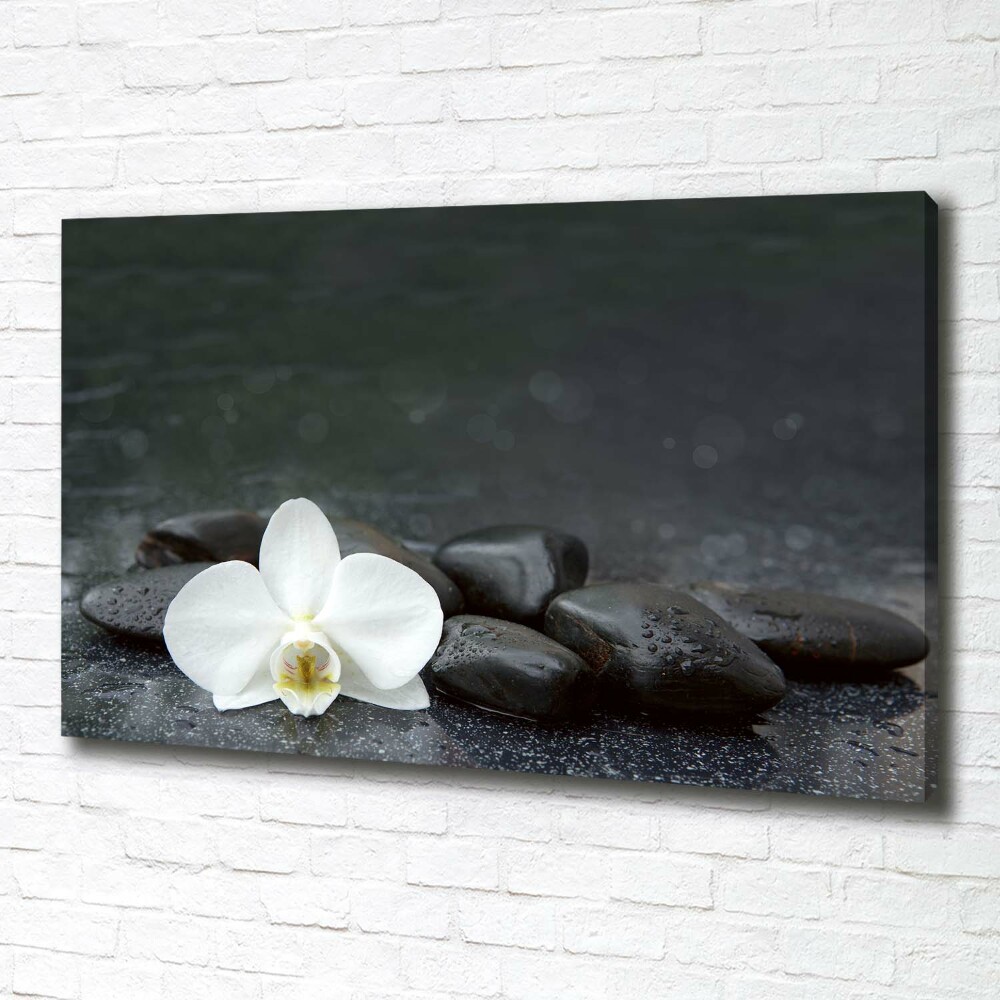 Foto obraz canvas Orchidea
