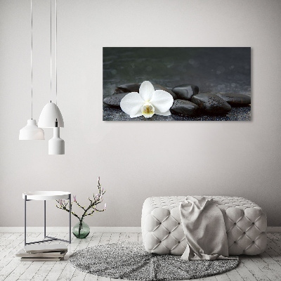 Foto obraz canvas Orchidea