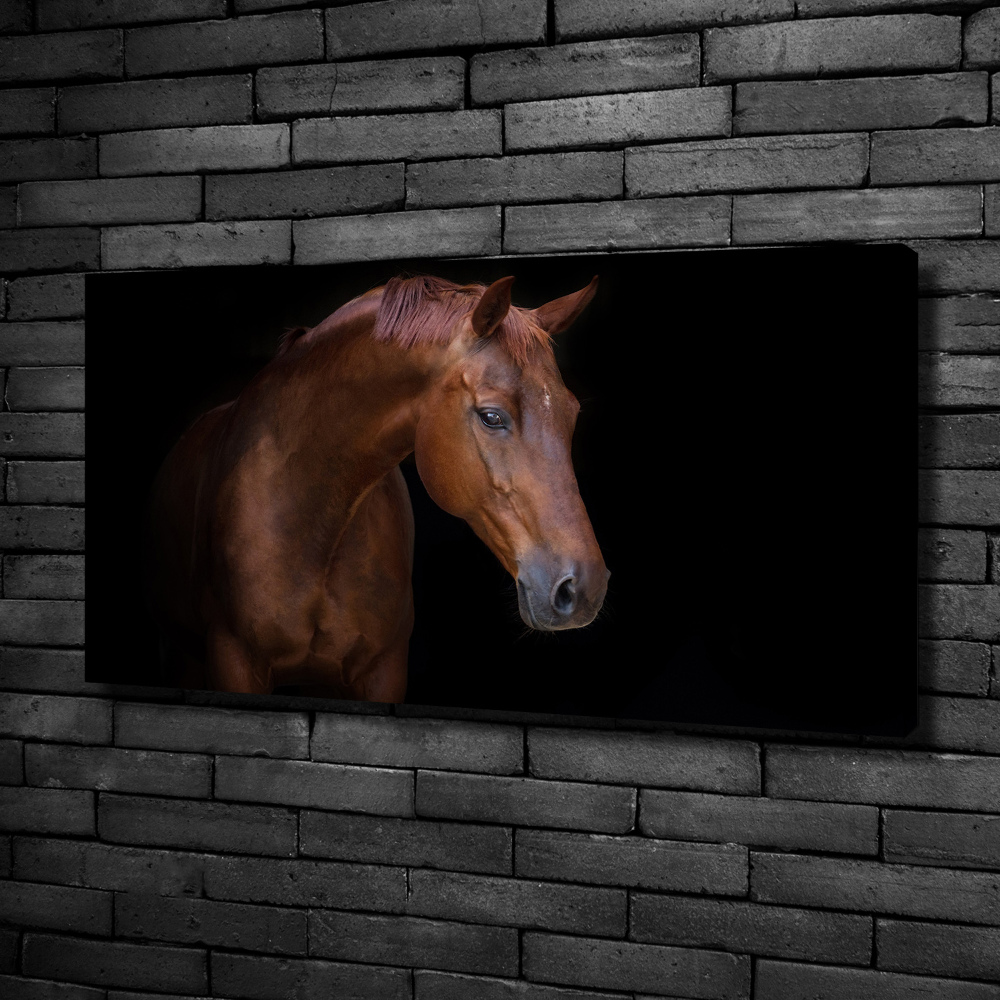Foto obraz canvas Brązowy koń