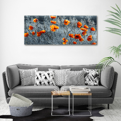 Foto obraz canvas Polny mak