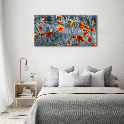 Foto obraz canvas Polny mak
