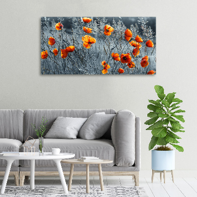 Foto obraz canvas Polny mak