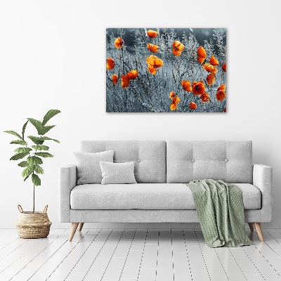 Foto obraz canvas Polny mak
