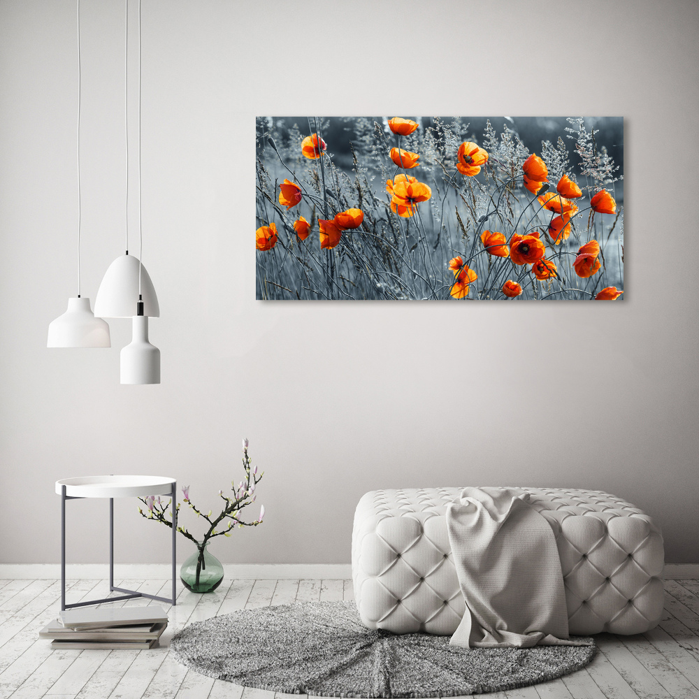 Foto obraz canvas Polny mak