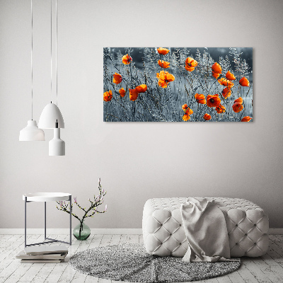 Foto obraz canvas Polny mak