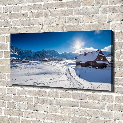 Foto obraz canvas Hale Tatry