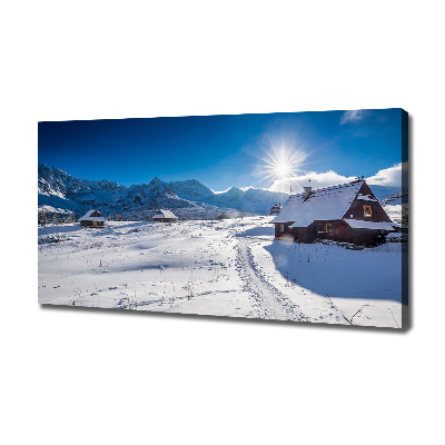 Foto obraz canvas Hale Tatry