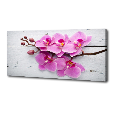 Foto obraz na płótnie Orchidea na drewnie