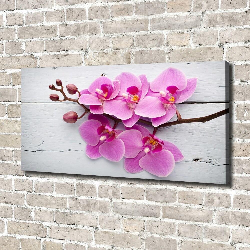 Foto obraz na płótnie Orchidea na drewnie