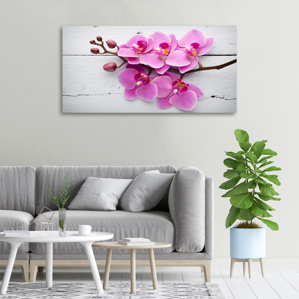 Foto obraz na płótnie Orchidea na drewnie