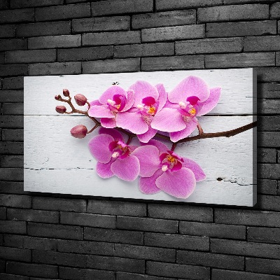 Foto obraz na płótnie Orchidea na drewnie