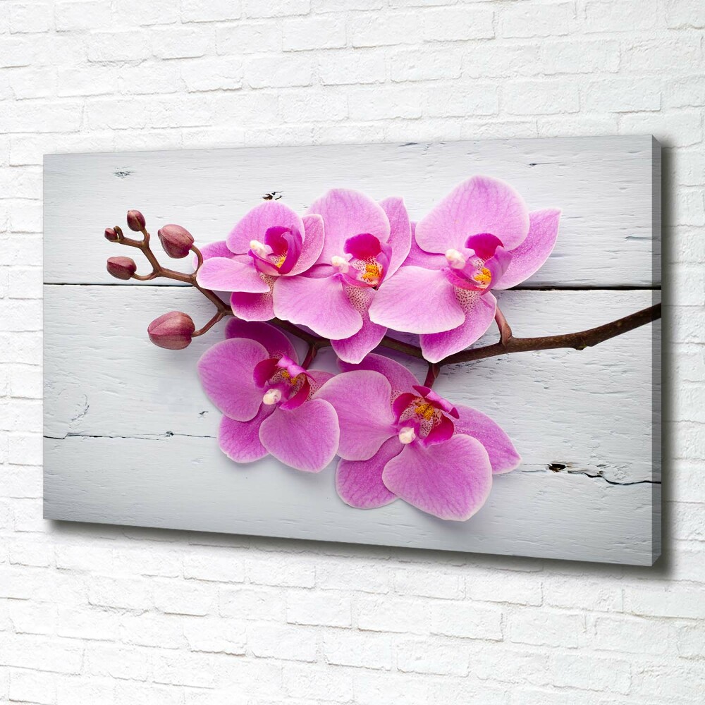 Foto obraz na płótnie Orchidea na drewnie