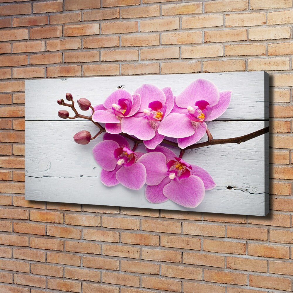 Foto obraz na płótnie Orchidea na drewnie