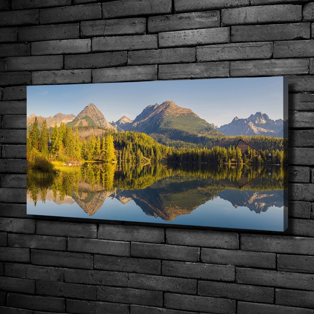Foto obraz na płótnie Panorama Tatry