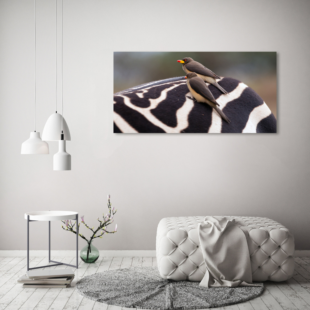 Foto obraz na płótnie Ptaki i zebra