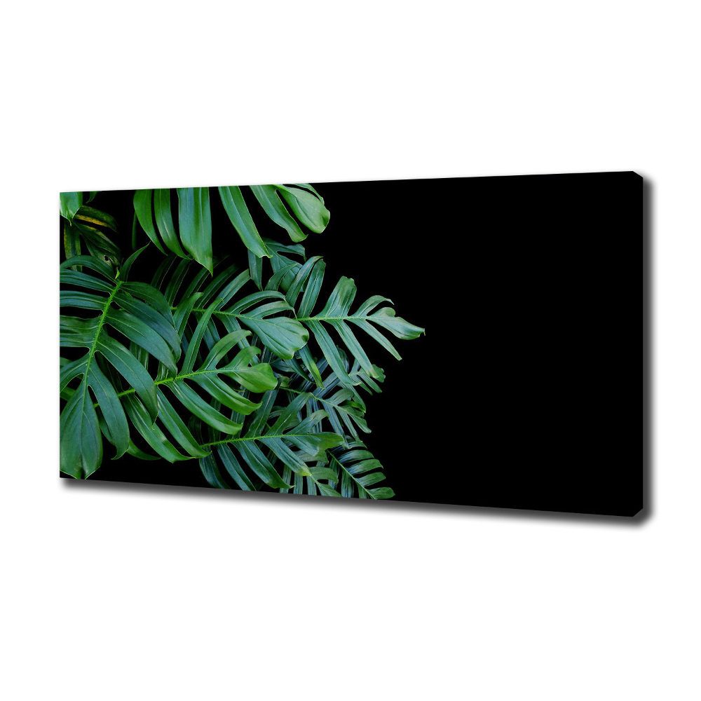 Foto obraz canvas Monstera