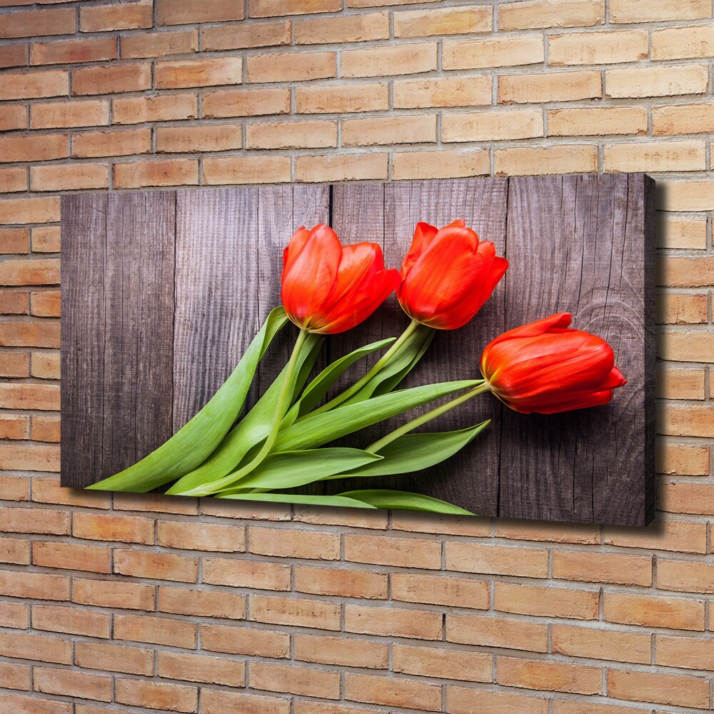Foto obraz na płótnie Czerwone tulipany