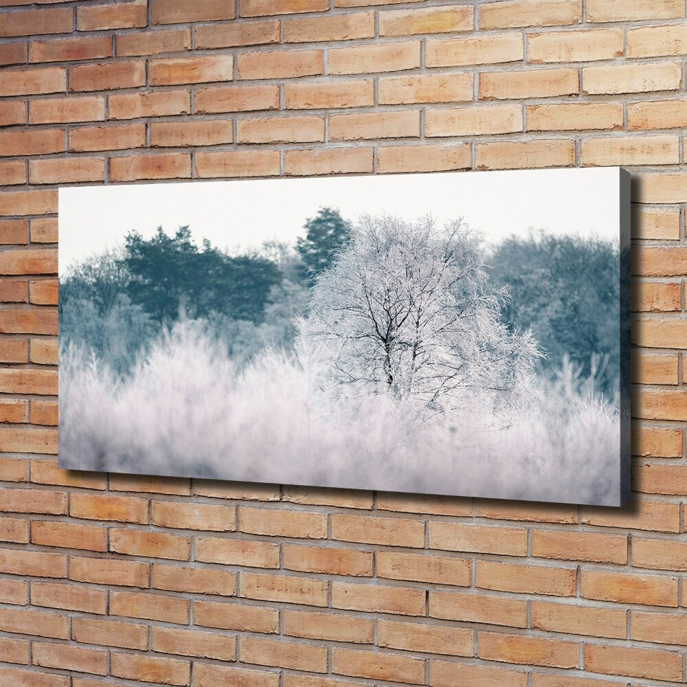 Foto obraz canvas Drzewa zimą