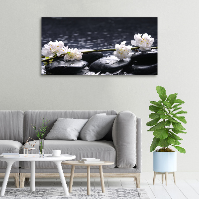 Foto obraz canvas Kwiat wiśni